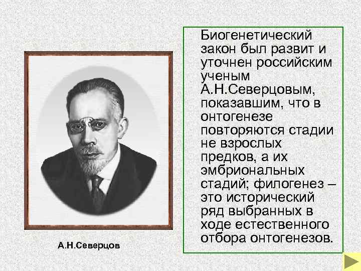  Биогенетический А. Н. Северцов закон был развит и уточнен российским ученым А. Н.