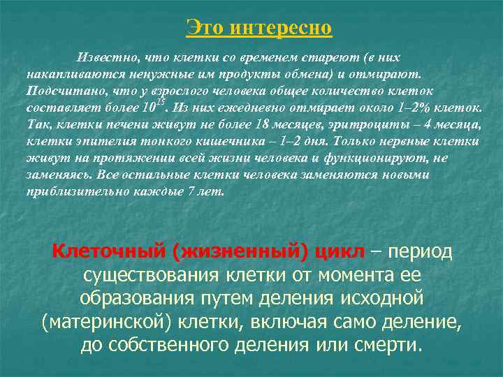 Это интересно Известно, что клетки со временем стареют (в них накапливаются ненужные им продукты