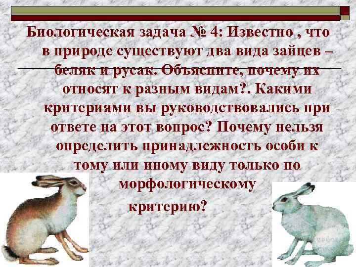 Биологическая задача № 4: Известно , что в природе существуют два вида зайцев –
