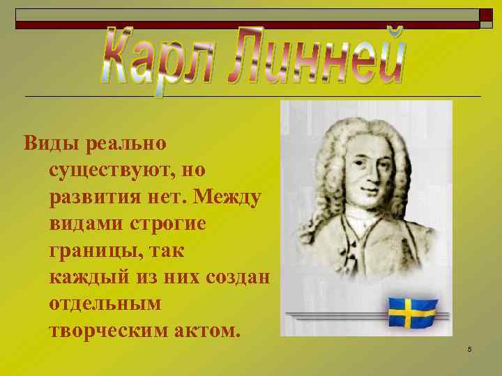 Виды реально существуют, но развития нет. Между видами строгие границы, так каждый из них