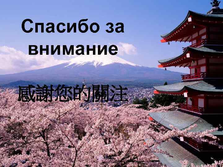 Спасибо за внимание 感謝您的關注 