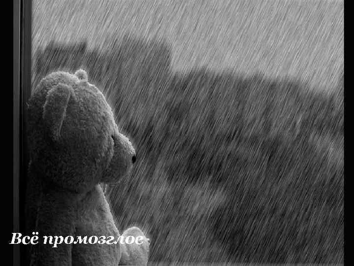 Всё промозглое 