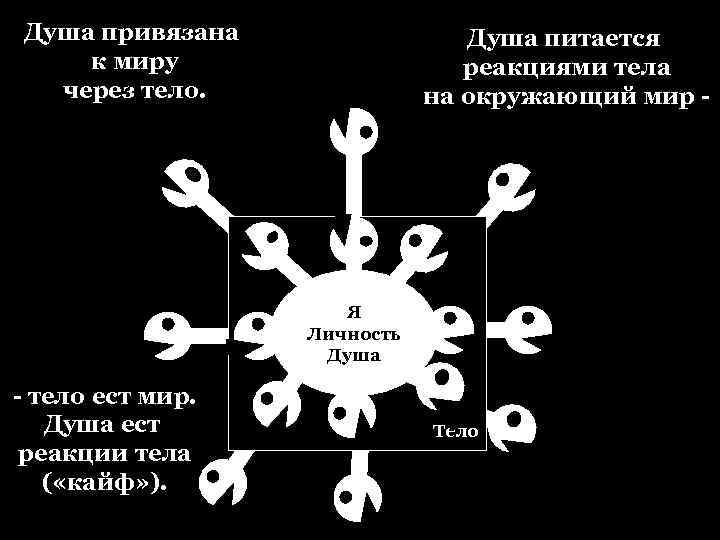 Душа привязана к миру через тело. Душа питается реакциями тела на окружающий мир -
