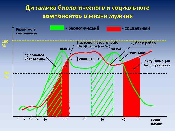 Развитость