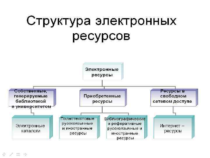 Вид электронного ресурса