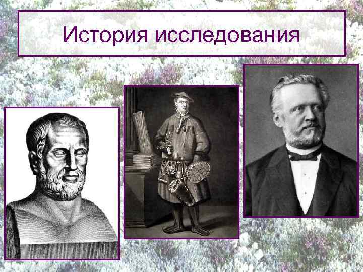 История исследования 