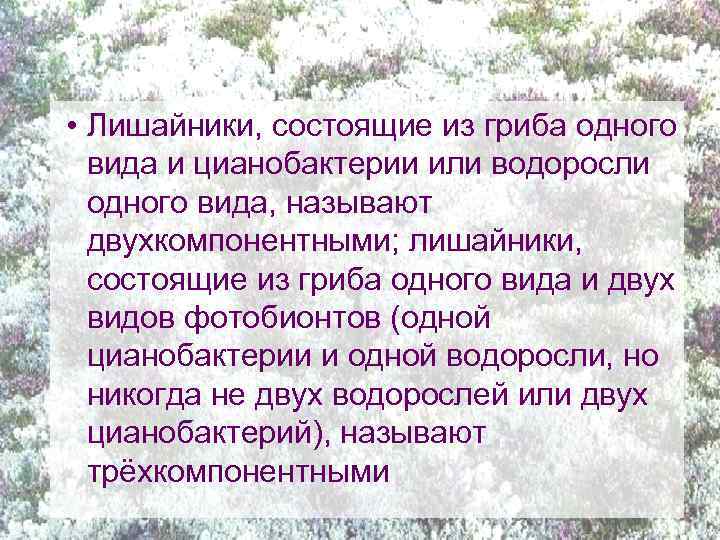  • Лишайники, состоящие из гриба одного вида и цианобактерии или водоросли одного вида,