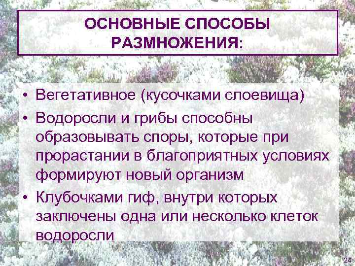 ОСНОВНЫЕ СПОСОБЫ РАЗМНОЖЕНИЯ: • Вегетативное (кусочками слоевища) • Водоросли и грибы способны образовывать споры,