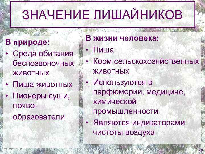 Роль лишайников в природе и жизни человека презентация