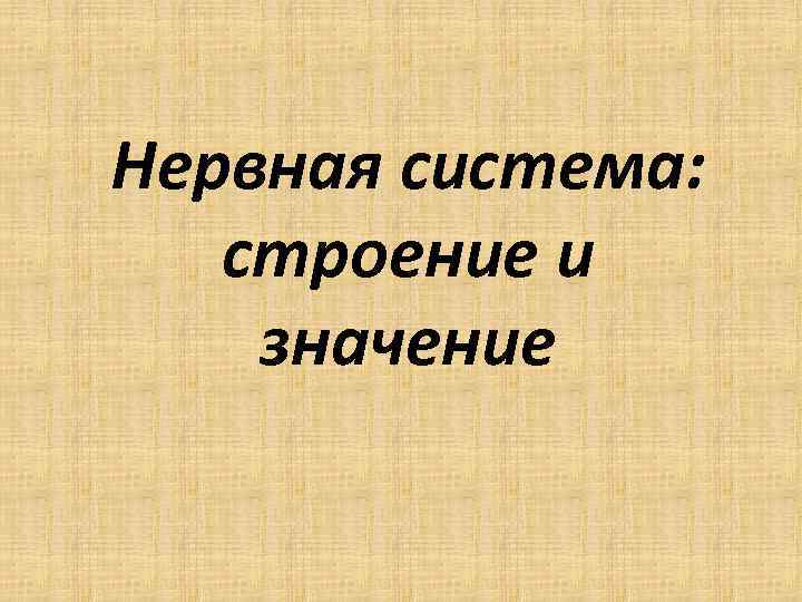 Нервная система: строение и значение 
