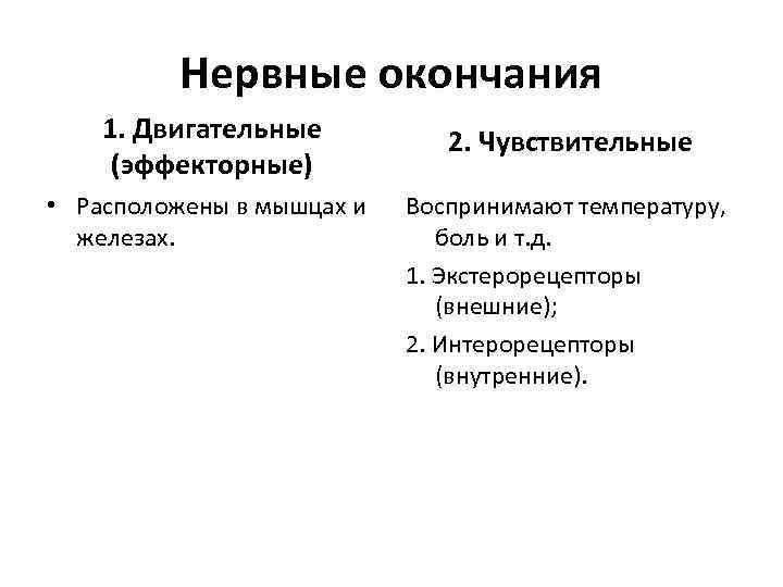 Нервные окончания 1. Двигательные (эффекторные) • Расположены в мышцах и железах. 2. Чувствительные Воспринимают