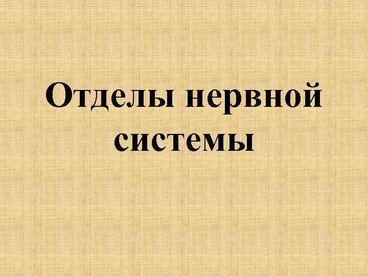 Отделы нервной системы 