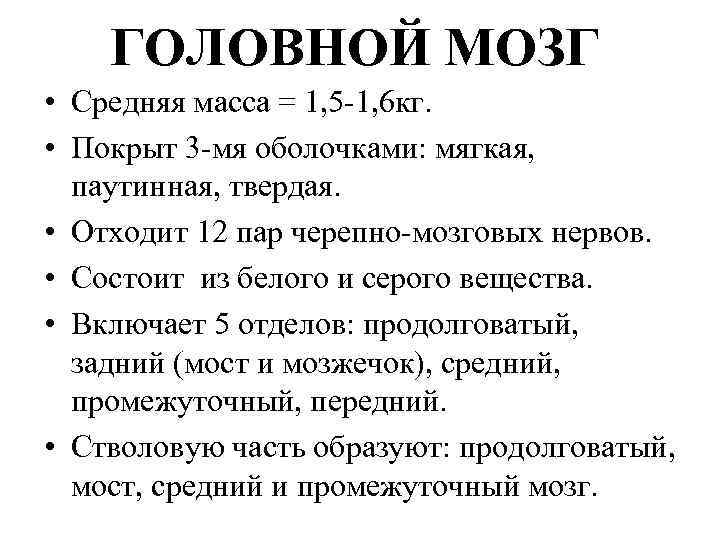 ГОЛОВНОЙ МОЗГ • Средняя масса = 1, 5 -1, 6 кг. • Покрыт 3