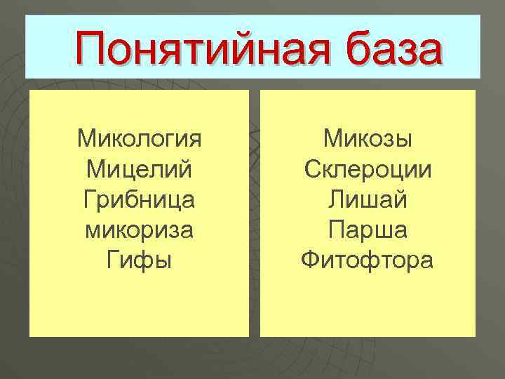 Понятийная база Микология Мицелий Грибница микориза Гифы Микозы Склероции Лишай Парша Фитофтора 