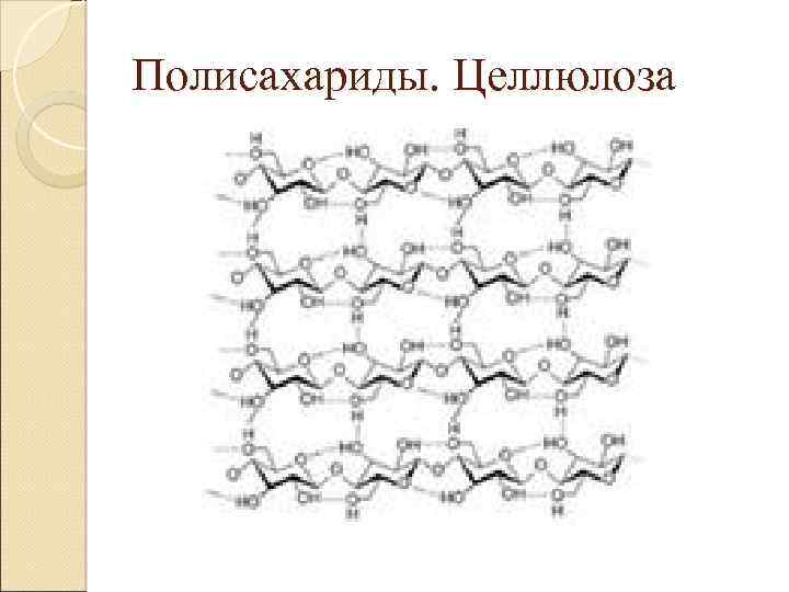 Полисахариды. Целлюлоза 