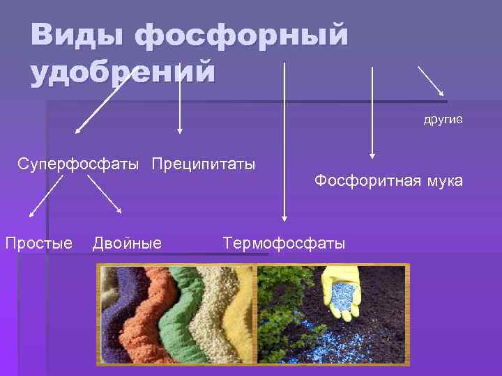 Виды фосфорный удобрений другие Суперфосфаты Преципитаты Простые Двойные Фосфоритная мука Термофосфаты 