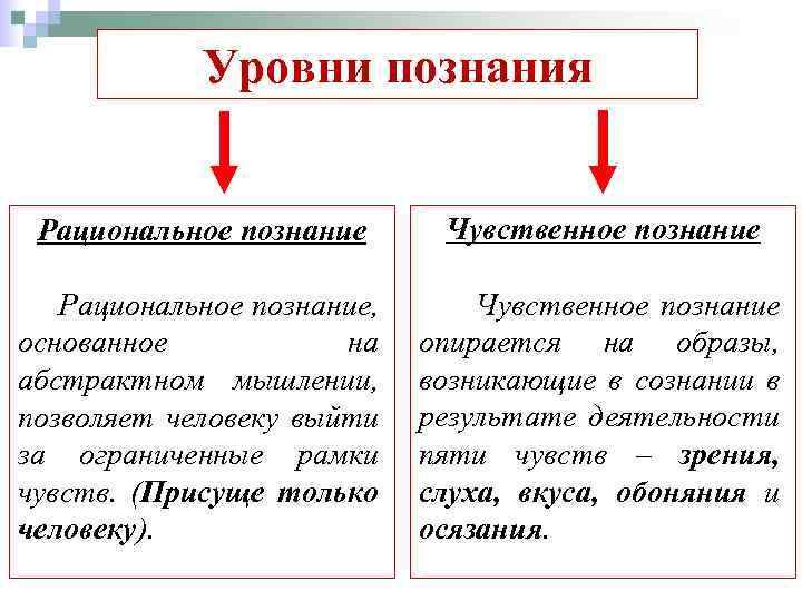 Уровни познания Рациональное познание Чувственное познание Рациональное познание, основанное на абстрактном мышлении, позволяет человеку
