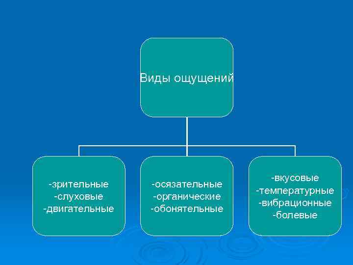 Виды ощущений зрительные слуховые двигательные осязательные органические обонятельные вкусовые температурные вибрационные болевые 