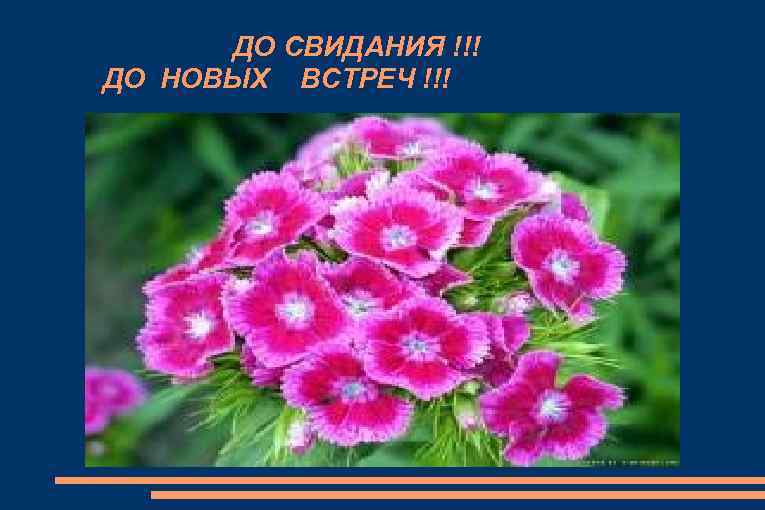 ДО СВИДАНИЯ !!! ДО НОВЫХ ВСТРЕЧ !!! 