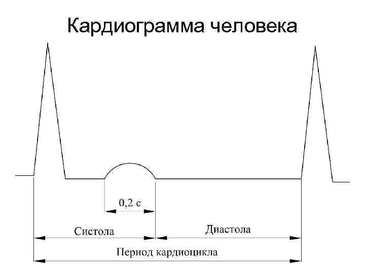 Кардиограмма человека 9 