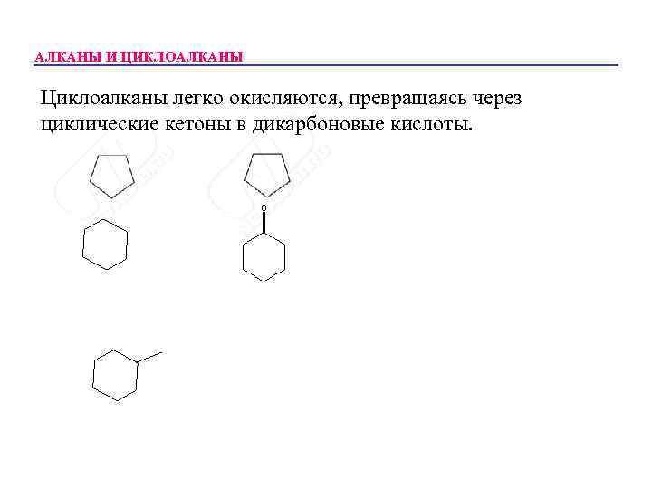 АЛКАНЫ И ЦИКЛОАЛКАНЫ Циклоалканы легко окисляются, превращаясь через циклические кетоны в дикарбоновые кислоты. 