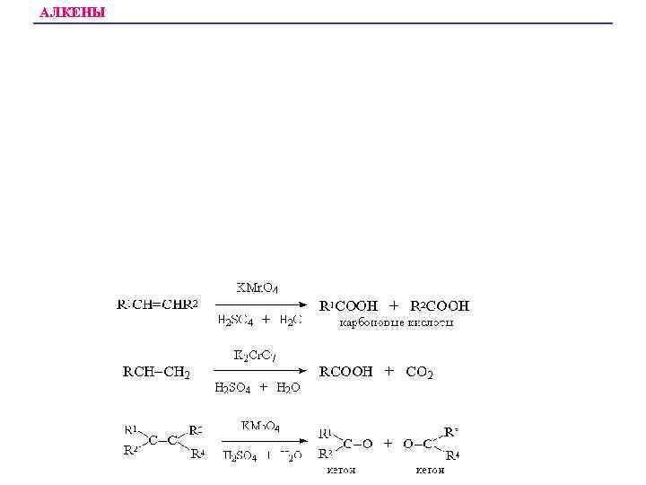 АЛКЕНЫ 