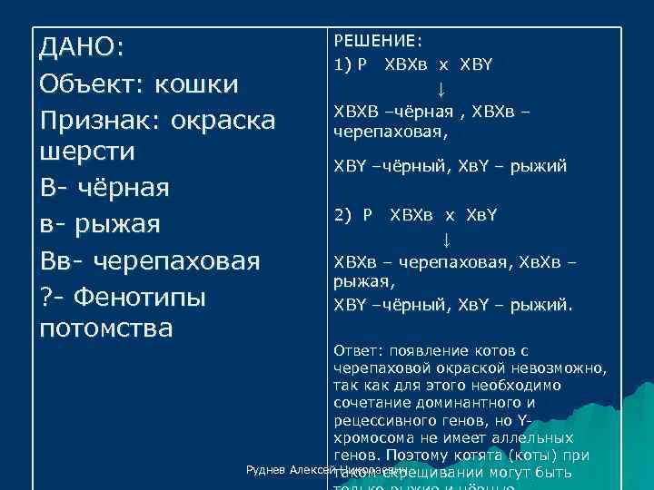 ДАНО: Объект: кошки Признак: окраска шерсти В- чёрная в- рыжая Вв- черепаховая ? -