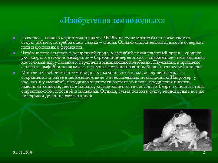  «Изобретения земноводных» n n n Лягушки – первые «слюнтяи» планеты. Чтобы на суше