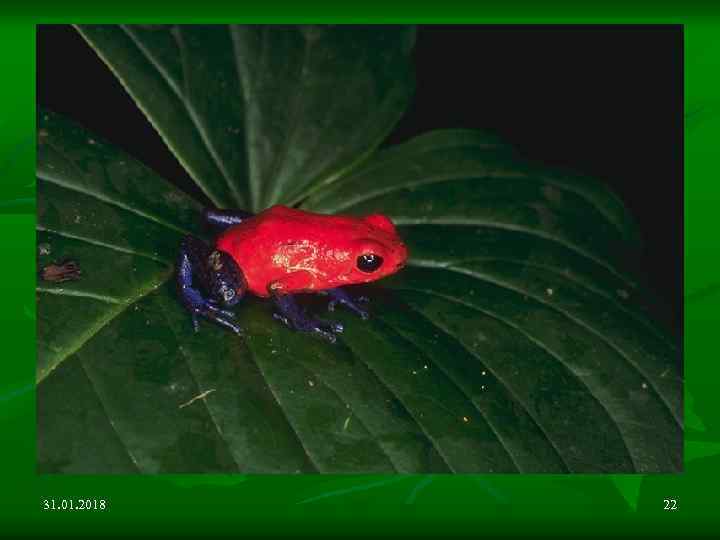 31. 01. 2018 22 