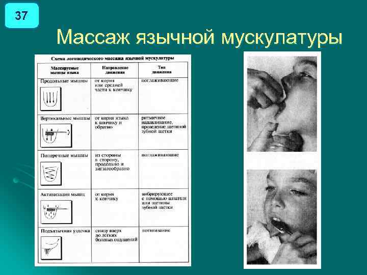 37 Массаж язычной мускулатуры 