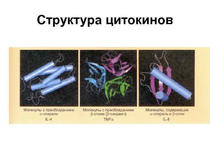 Структура цитокинов 