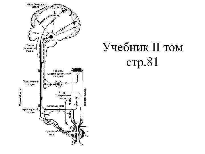Учебник II том стр. 81 