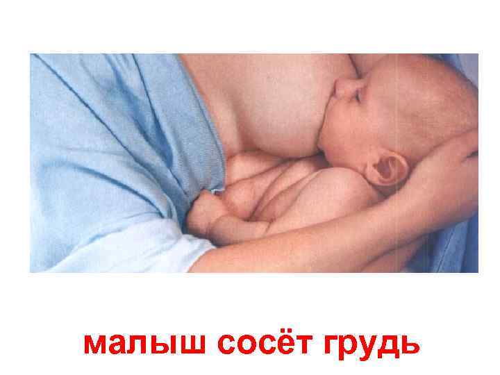 малыш сосёт грудь 