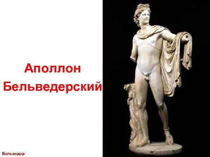 Аполлон Бельведерский Бельведер 