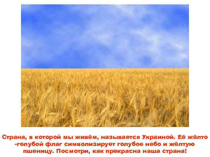 Страна, в которой мы живём, называется Украиной. Её жёлто -голубой флаг символизирует голубое небо