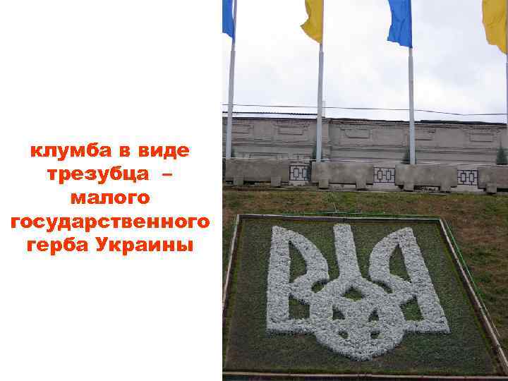 клумба в виде трезубца – малого государственного герба Украины 