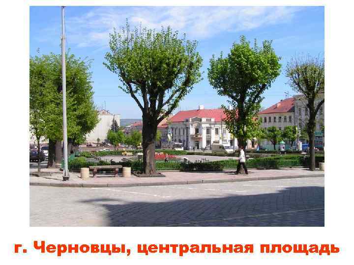 г. Черновцы, центральная площадь 