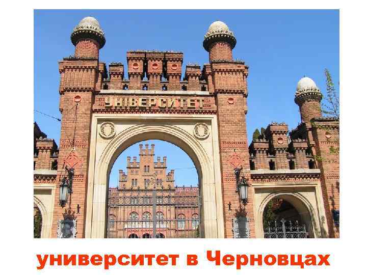 университет в Черновцах 