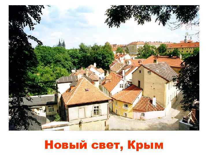 Новый свет, Крым 