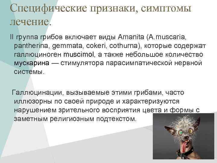 Специфические признаки, симптомы лечение. II группа грибов включает виды Amanita (A. muscaria, pantherina, gemmata,
