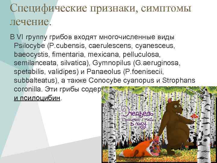 Специфические признаки, симптомы лечение. В VI группу грибов входят многочисленные виды Psilocybe (P. cubensis,