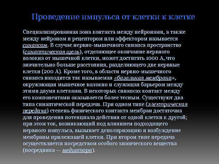 Проведение импульса от клетки к клетке Специализированная зона контакта между нейронами, а также между