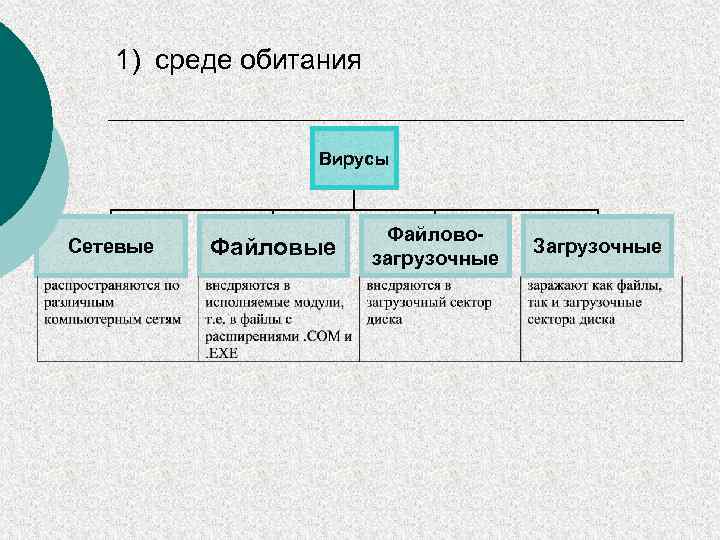 Виды файловых вирусов. Загрузочные вирусы примеры. Примеры сетевых вирусов названия. Файловые вирусы примеры.