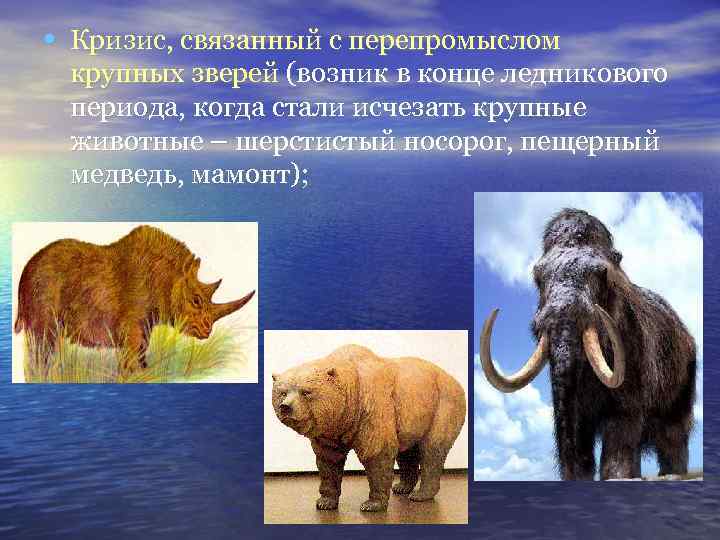  • Кризис, связанный с перепромыслом крупных зверей (возник в конце ледникового периода, когда
