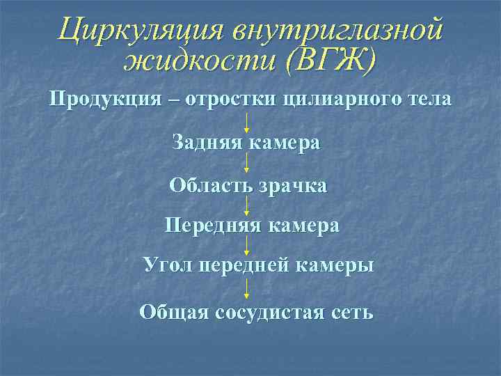 Циркуляция внутриглазной жидкости (ВГЖ) Продукция – отростки цилиарного тела Задняя камера Область зрачка Передняя