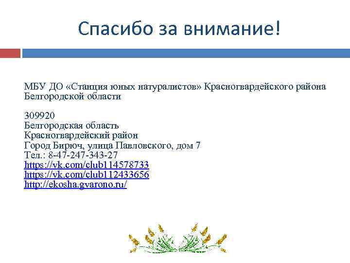 Спасибо за внимание! МБУ ДО «Станция юных натуралистов» Красногвардейского района Белгородской области 309920 Белгородская