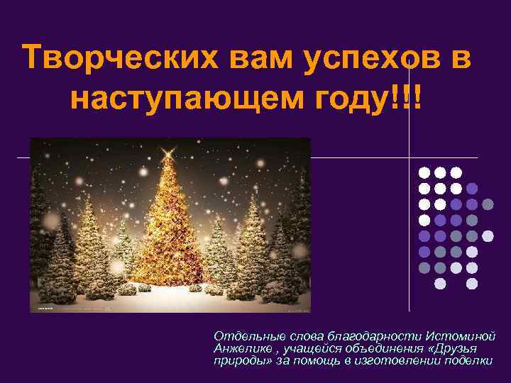 Творческих вам успехов в наступающем году!!! Отдельные слова благодарности Истоминой Анжелике , учащейся объединения
