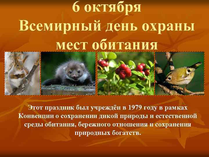 6 октября Всемирный день охраны мест обитания Этот праздник был учреждён в 1979 году