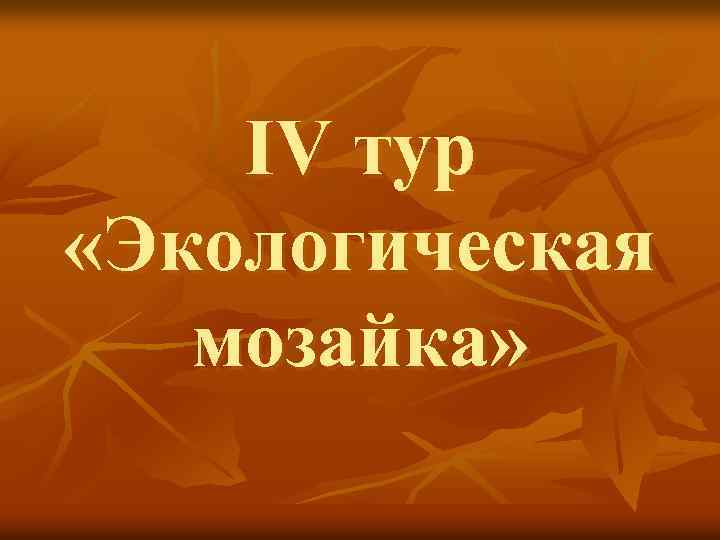 IV тур «Экологическая мозайка» 