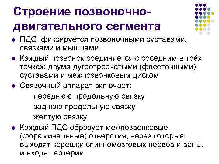 Строение позвоночнодвигательного сегмента l l ПДС фиксируется позвоночными суставами, связками и мышцами Каждый позвонок